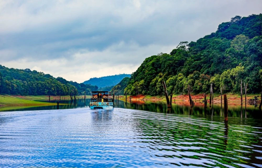 Thekkady in Upputhara Pictures